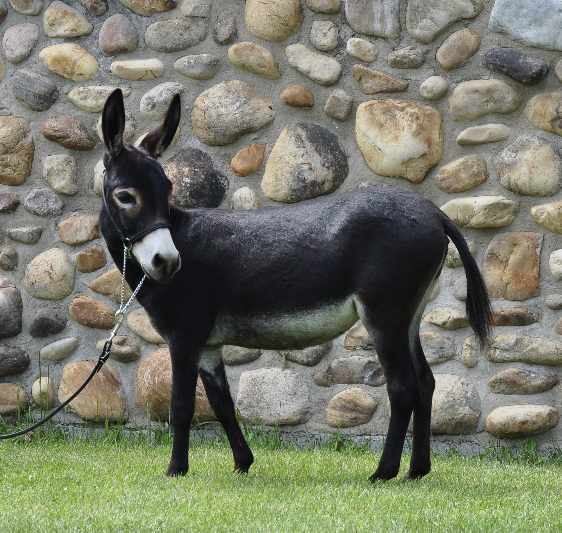 BDE80E55-08C2-4544-858B-7089A7CD4D3A_1_201_a